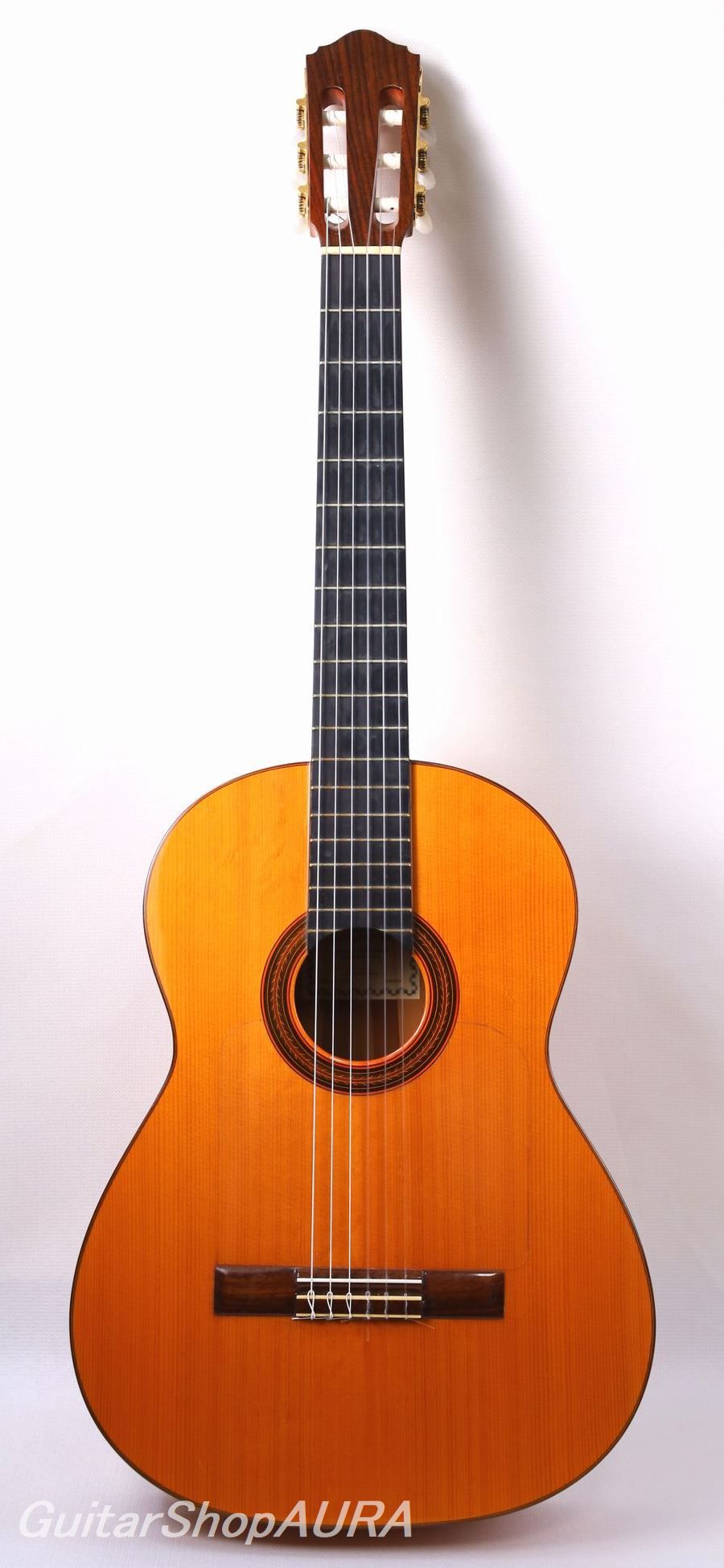 AURA Guitar Catalog